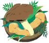 matsutake.jpg