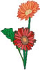 gerbera.jpg