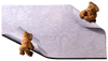 head_bear.gif