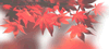 image_autumn.gif