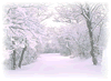 image_snow.gif