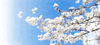 image_spring.gif