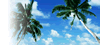image_summer.gif
