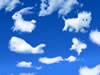 image_cloud.jpg