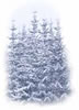 image_ski_tr.jpg