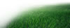 image_turf.jpg
