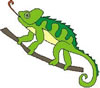 kameleon.jpg