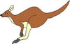 kangaloo.jpg