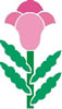 pink.jpg